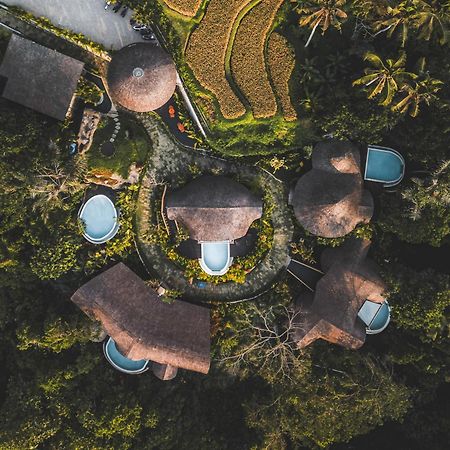 Jungleight Bali Otel Tegallalang  Dış mekan fotoğraf