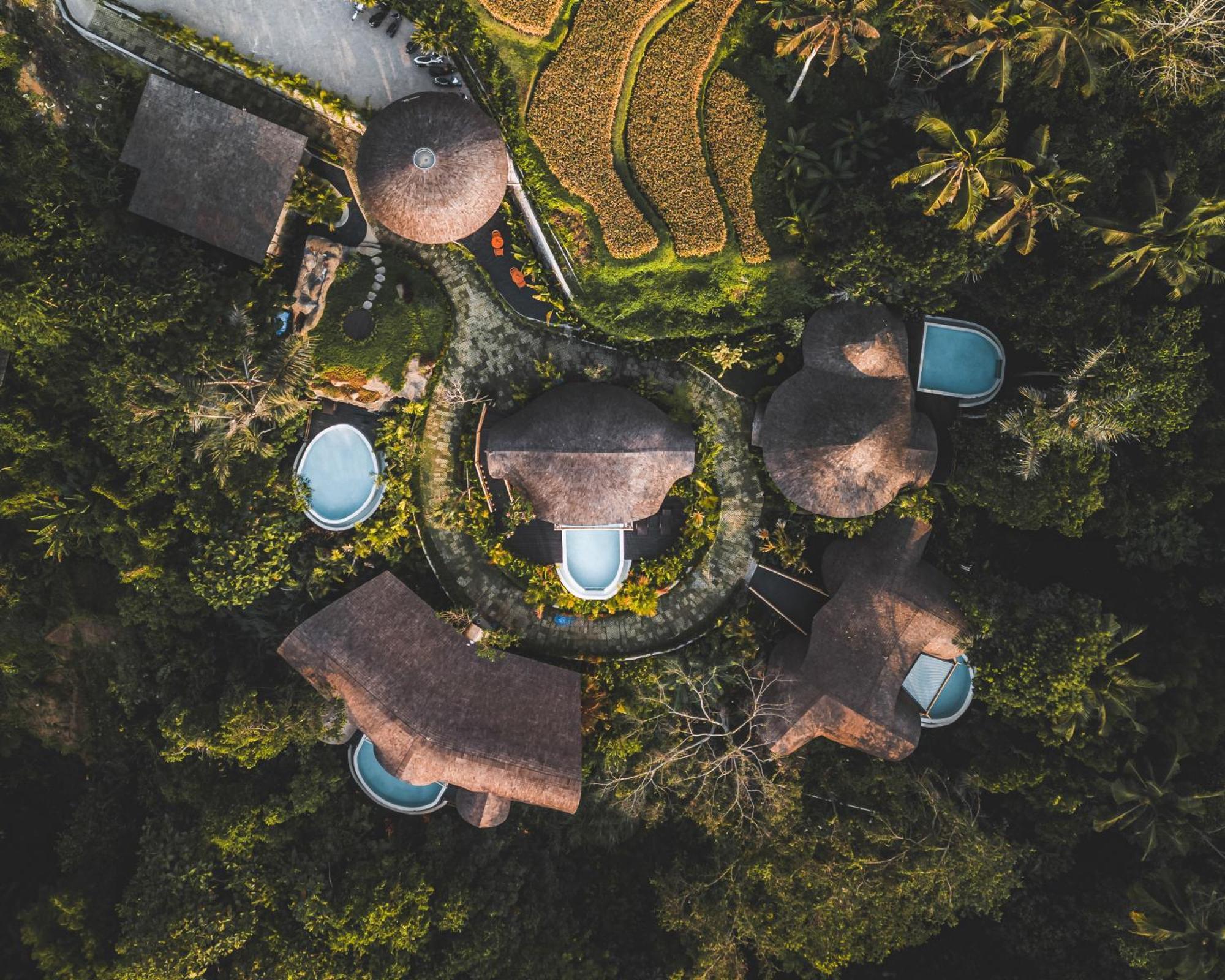 Jungleight Bali Otel Tegallalang  Dış mekan fotoğraf